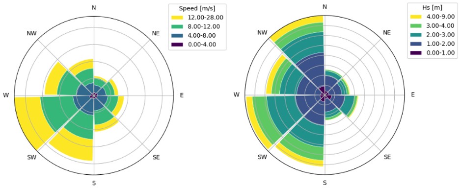 Rose plots examples for the direction of 10m wind speed and for the direction of significant wave height.