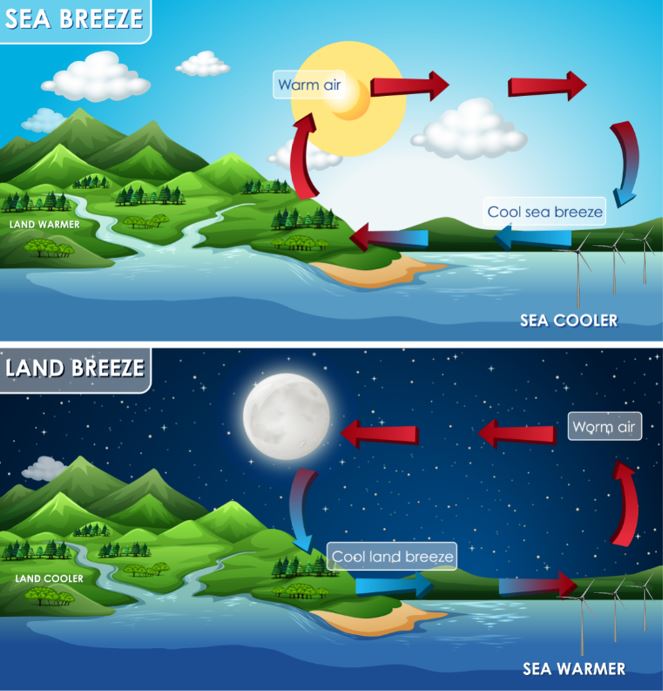 Illustration of the sea breeze and land breeze 
